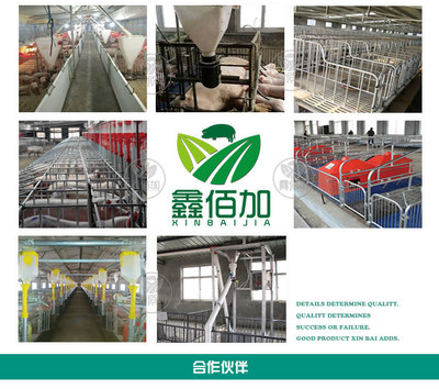鑫佰加畜牧設備 專業打造犢牛用奶壺，助力高效養殖